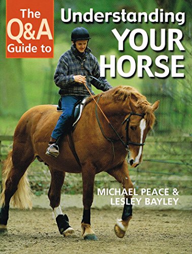 The Q&a Guide to Understanding Your Horse